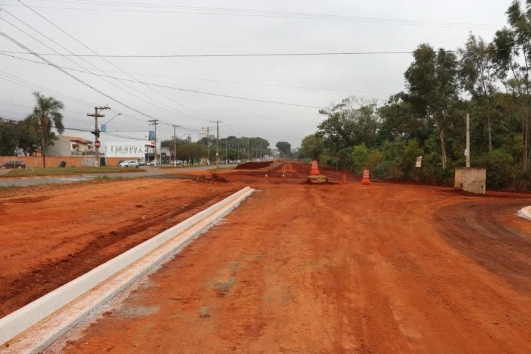 mogi_guacu_av_brasil (133)