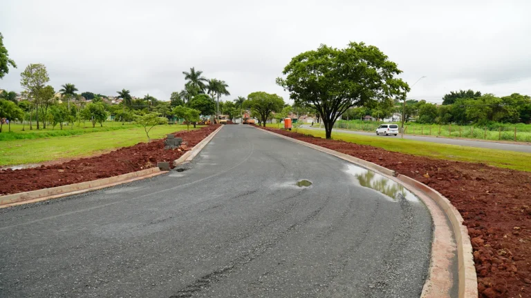mogi_guacu_av_brasil (33)